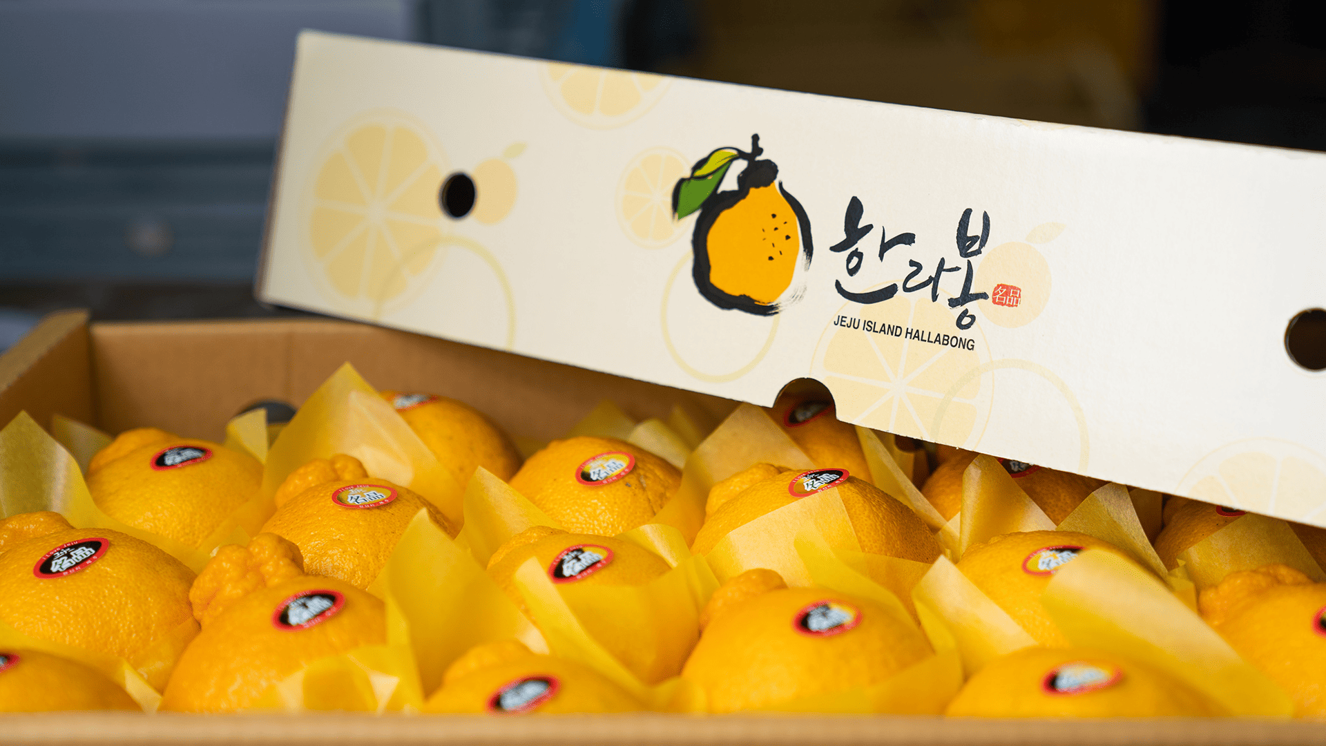 블랙마카애 골드12개월분